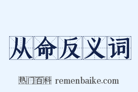 从命反义词是什么意思的图片